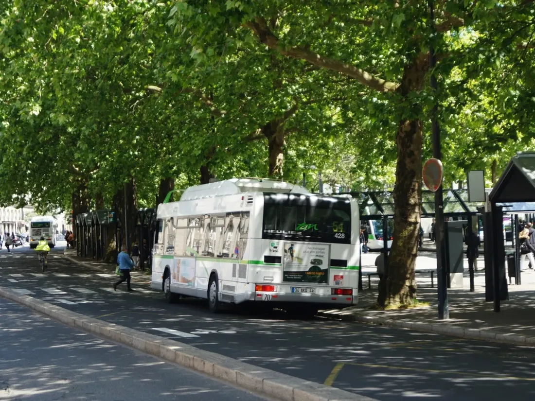 Un bus de la TAN